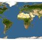 Discover Life: Point Map of Etlingera araneosa